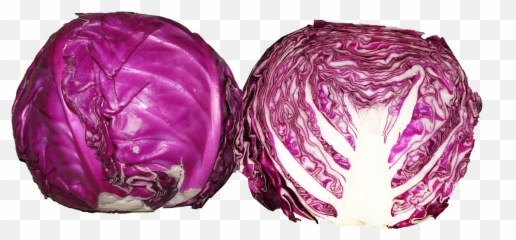 Vegetable Red Cabbage Food Healthy Cooking - free image Cabbage Red Head png