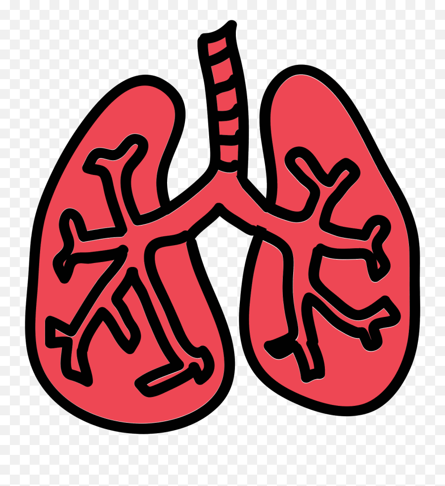 Download Png Image With Transparent - Lungs Cartoon Png,Lung Png - free  transparent png images 