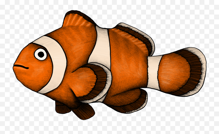 Clownfish Illustration By Mustafa Akman - Ocellaris Clownfish Png,Clownfish Png