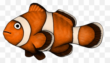 Clownfish Illustration By Mustafa Akman - Ocellaris Clownfish Png,Clownfish Png