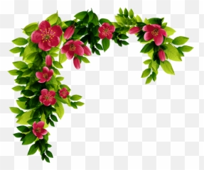 Vines Png Images - Hd Image Of Red Flowers Frame