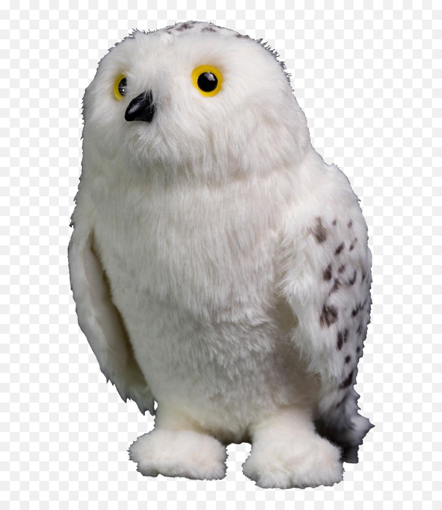 Download Hd Hedwig Plush - Harry Potter Hedwig Plush Png,Hedwig Png