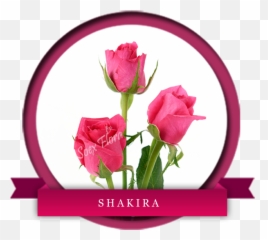 Indian Fresh Flower Grower And Exporters In Europe Uk - Floral Png,Shakira Png