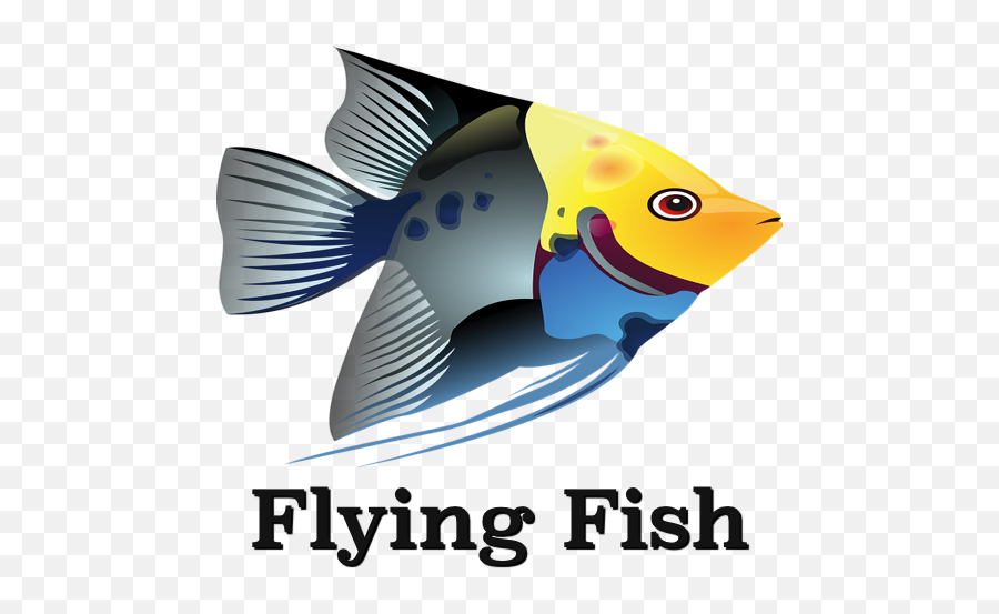 Flying Fish 2019 Game - Apps On Google Play Angelfish Png,Flying Fish Logo