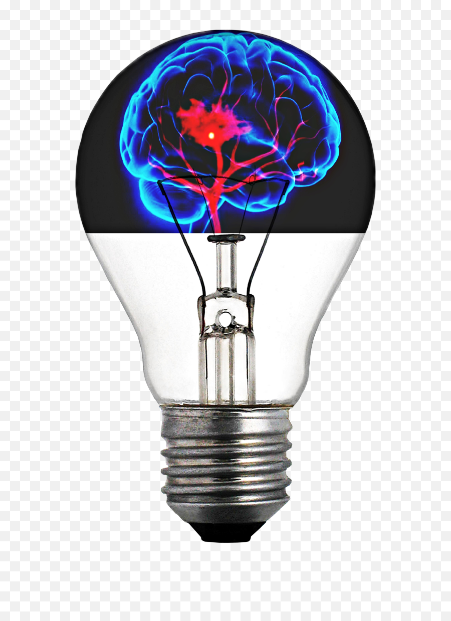 Light Bulb Brain Absorbed - Free Image On Pixabay Light Png Background Hd,Light Bulbs Png