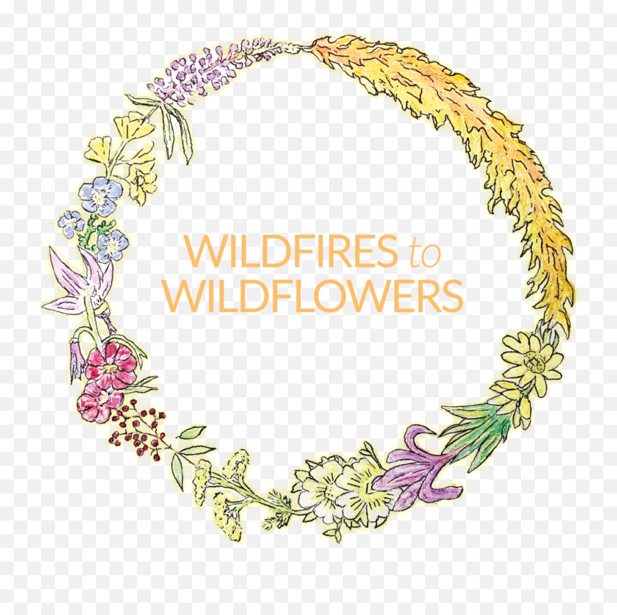 Wildfires To Wildflowers Png