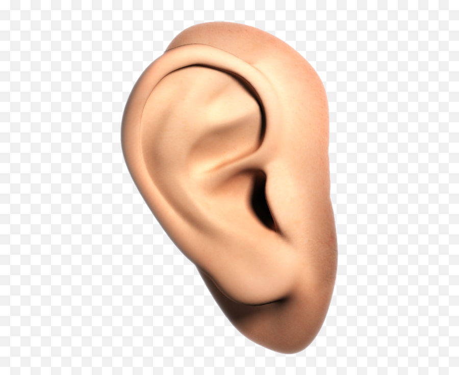 Download Ear Png Image For Free - Human Ear Transparent Background,Nose Png