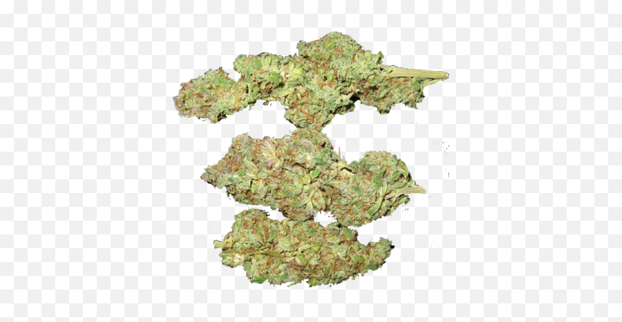 Weed Psd Transparent Png Image - Cannabis,Weed Png