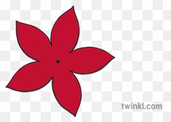 Poinsettia Cut Out Natale Fiore Arti Mestieri Ks1 - Floral Png,Poinsettia Icon Png