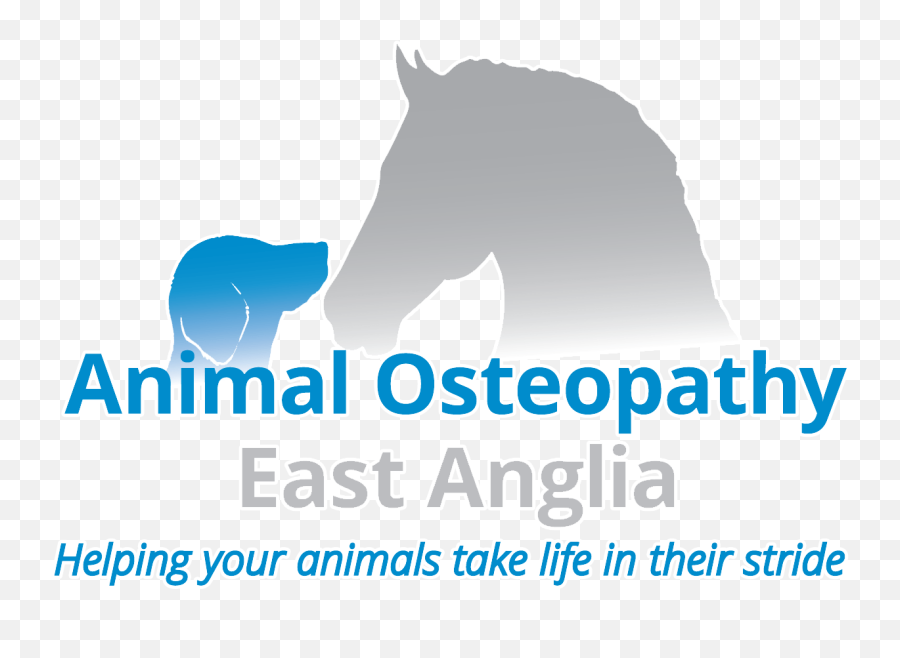 Animal Osteopathy East Anglia - Animal Osteopathy East Anglia Png,Horse Logos