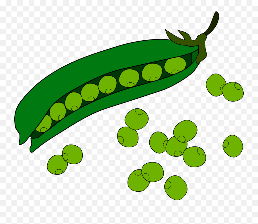 Green Beans Clipart - Green Beans Clip Art Png,Green Beans Png