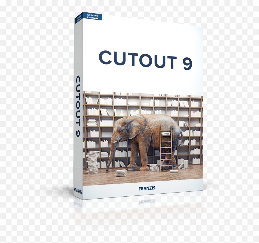 Cutout 9 - Overview Elephant In The Room Library Png,Elephant Tusk Icon