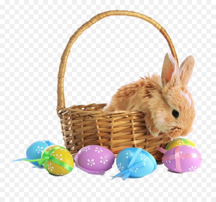 Easter Basket Transparent Png Image - Easter Basket With Bunny,Easter Basket Transparent