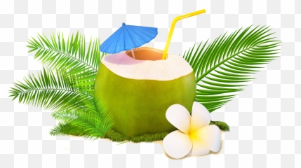 Trendy Coconut - Fresh Tender Coconut Png,Coconut Png