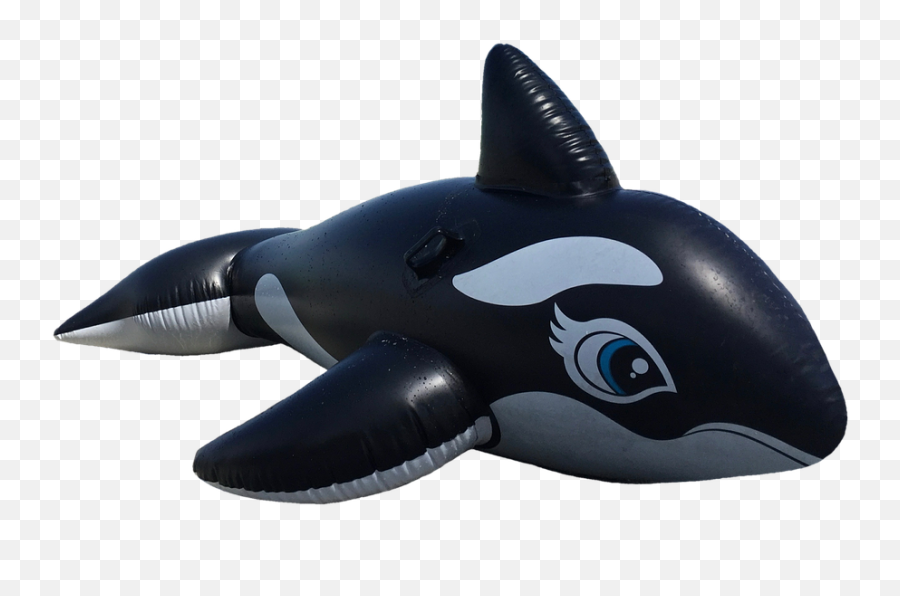 Wal Killer Orca Marine - Killer Whale Png,Orca Png