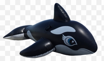 Wal Killer Orca Marine - Killer Whale Png,Orca Png