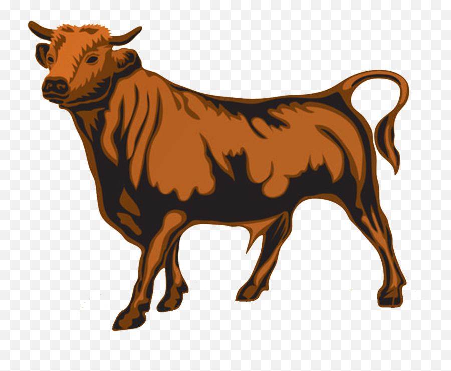 Sustain - Abull U2013 Local Durham First Want You Bulls Png,Bull Transparent