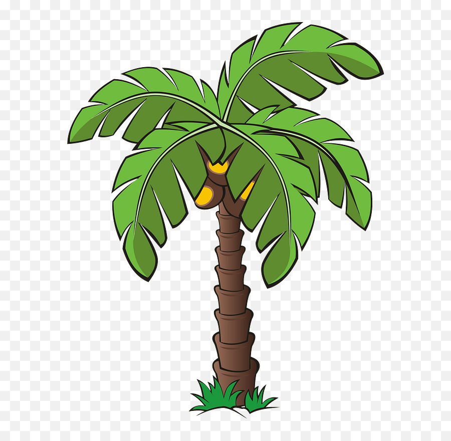 Tree Trees Palm - Free Image On Pixabay Date Tree Clip Art Png,Dates Png