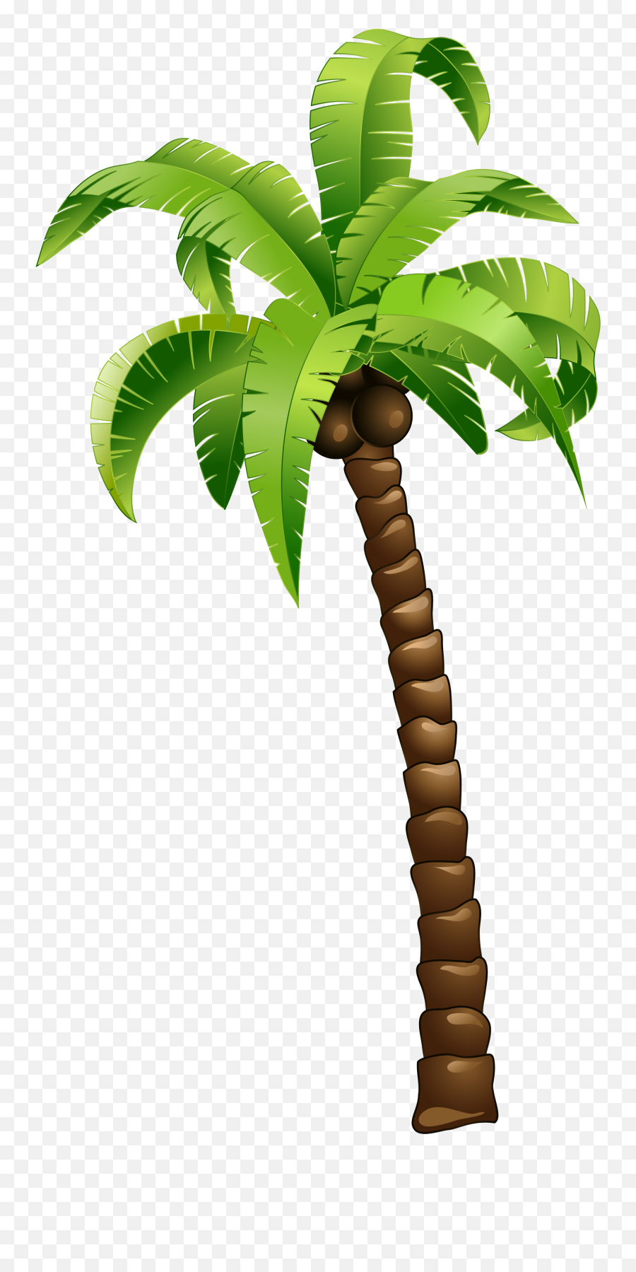 Cartoon Green Coconut Tree - Cartoon Palm Tree Png Coconut Tree Cartoon Png, Palm Leaf Png - free transparent png images 
