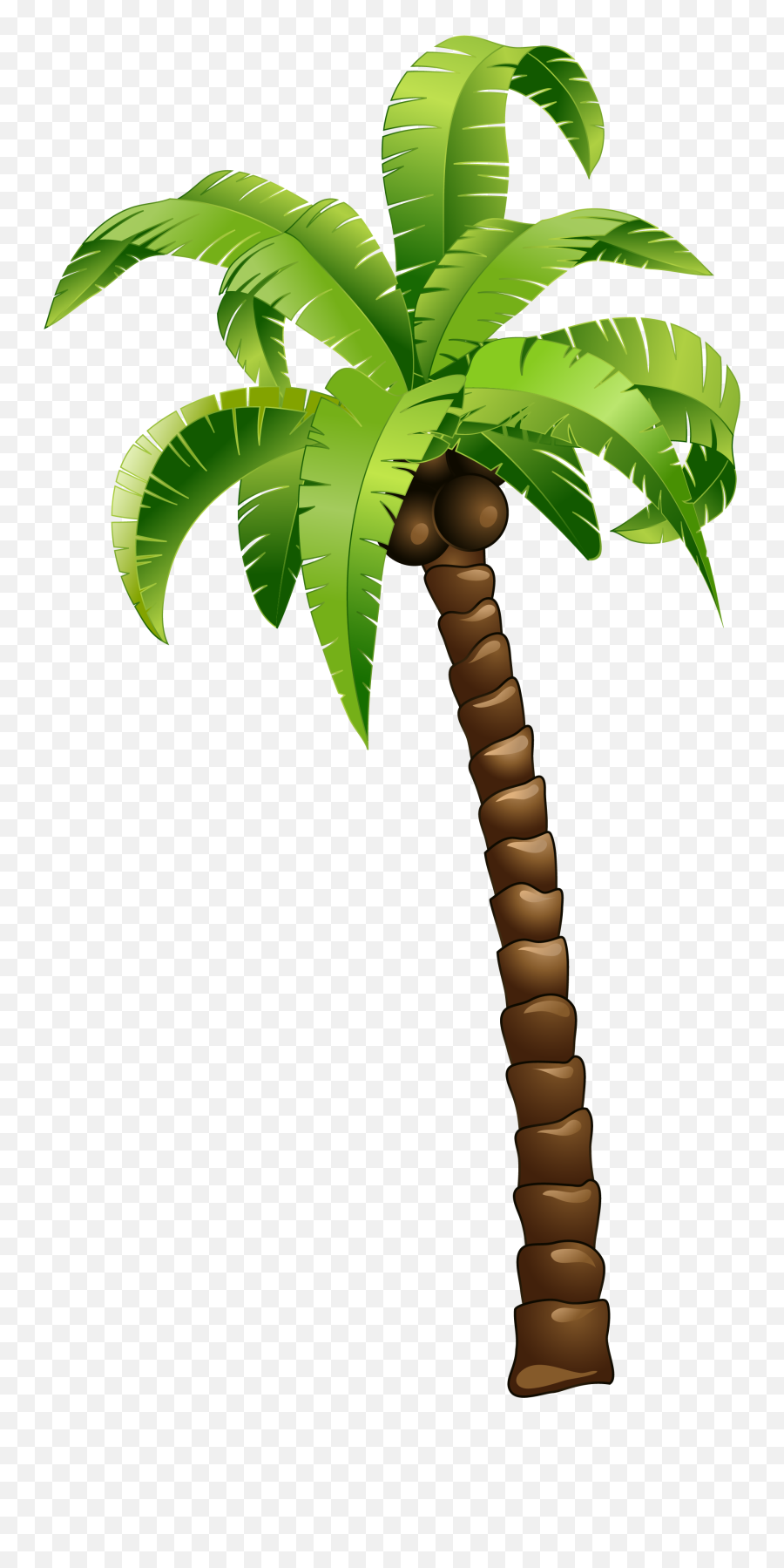 Cartoon Green Coconut Tree - Cartoon Palm Tree Png Coconut Tree Cartoon Png,Palm Leaf Png