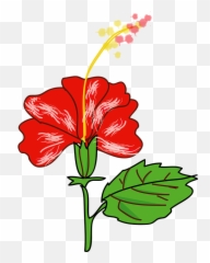 Hibiscus Flower Red - Free Vector Graphic On Pixabay Gumamela Clipart Png,Hibiscus Flower Png