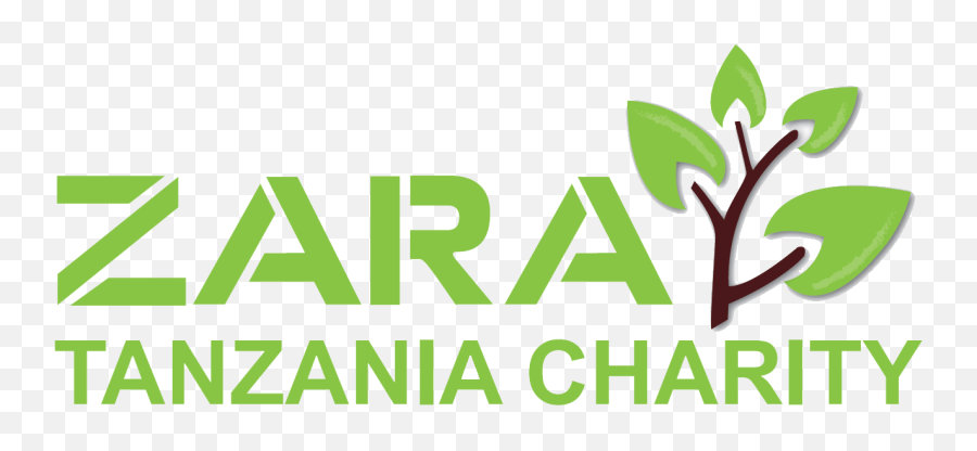 Zara Charity Aims - Graphic Design Png,Zara Logo Png