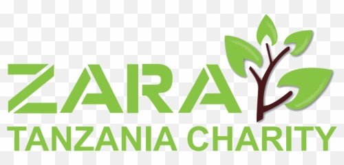 Zara Charity Aims - Graphic Design Png,Zara Logo Png