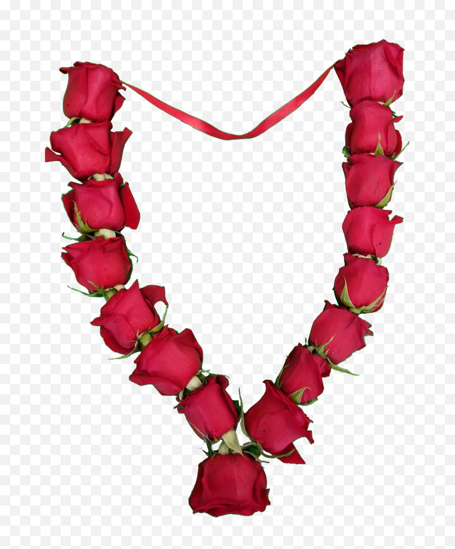 Roses - Necklace Png,Flower Garland Png
