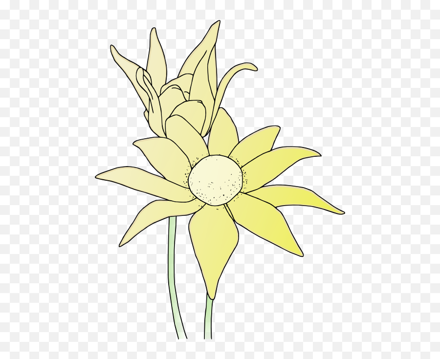 Bush Flowers Clipart Png Flower