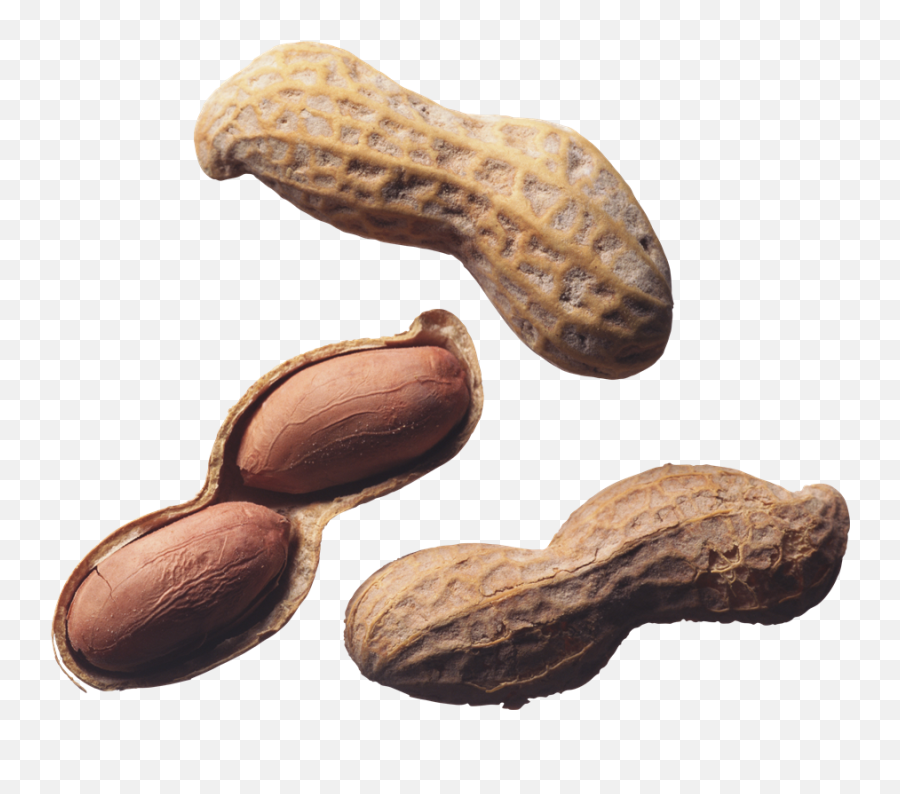 Peanut Png Pic Background - Peanut,Peanut Png