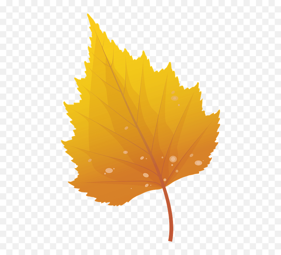 Silver Birch Late Autumn Leaf Clipart Free Download - Birch Leaf Clipart Png,Birch Tree Png