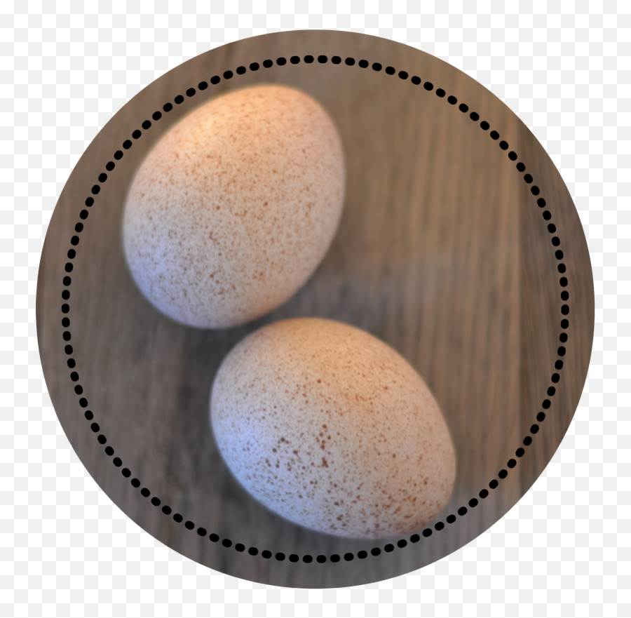 Turkey Eggs - Dozen U2014 Heritage Belle Farms Png,Eggs Transparent