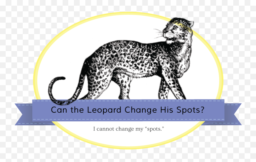 Leopard Spots Png - Jaguarbanner Cheetah 827489 Vippng Dot,Cheetah Transparent