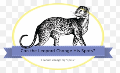 Leopard Spots Png - Jaguarbanner Cheetah 827489 Vippng Dot,Cheetah Transparent