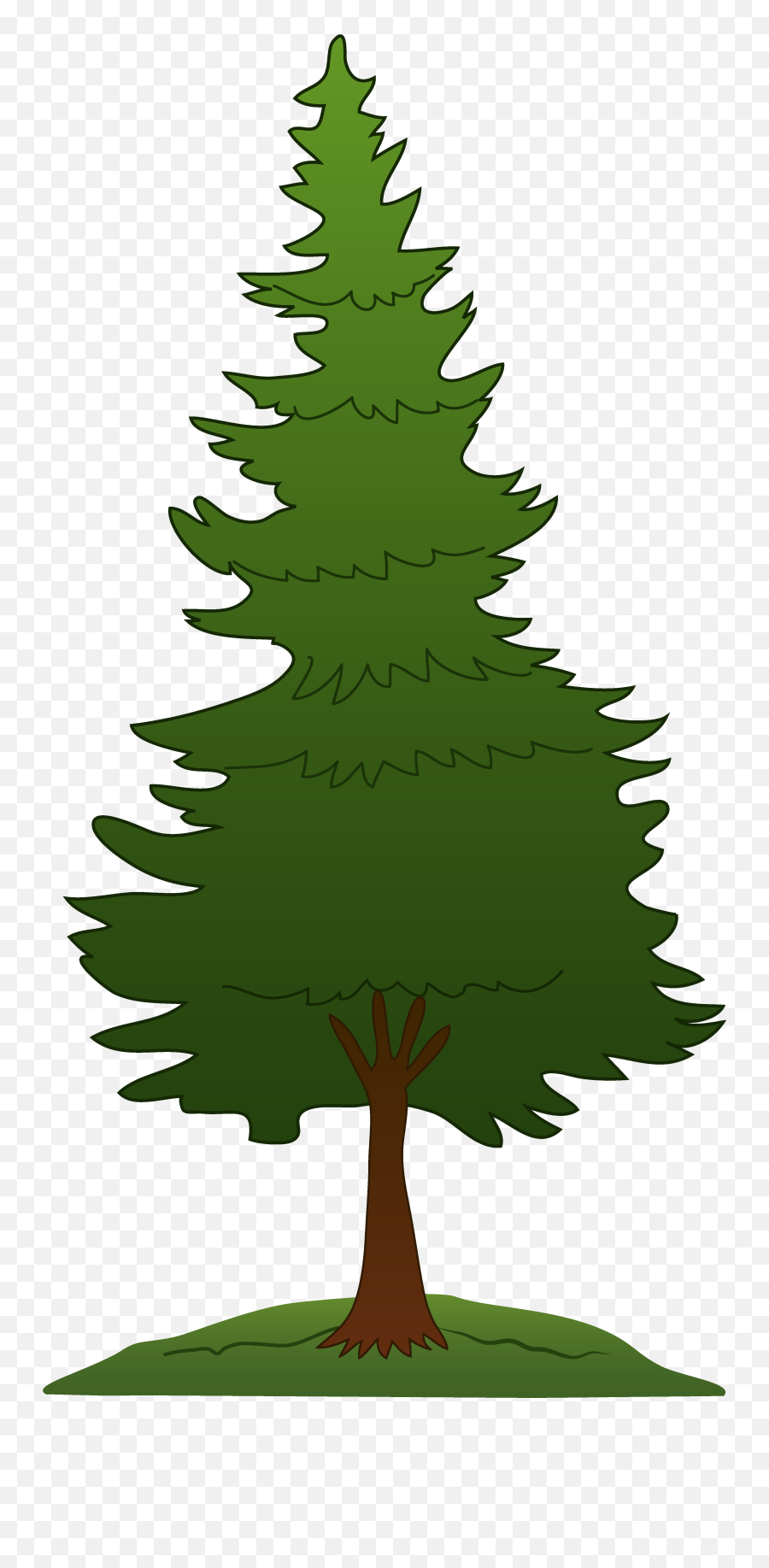 Library Of Forest Trees Clip Art - Transparent Background Pine Tree Clipart Png,Forest Tree Png