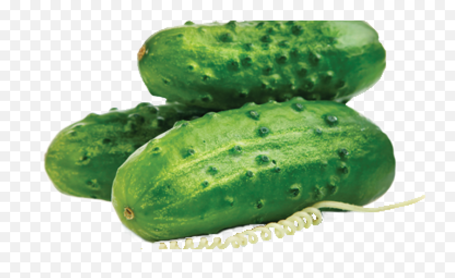 Cucumber Pick It Try Like Preserve Png