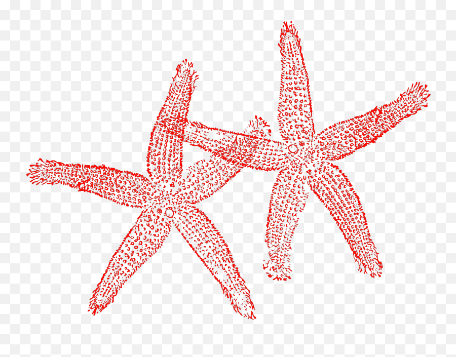 Two Red Starfish Svg Vector - Fish Clip Art Png,Starfish Clipart Png