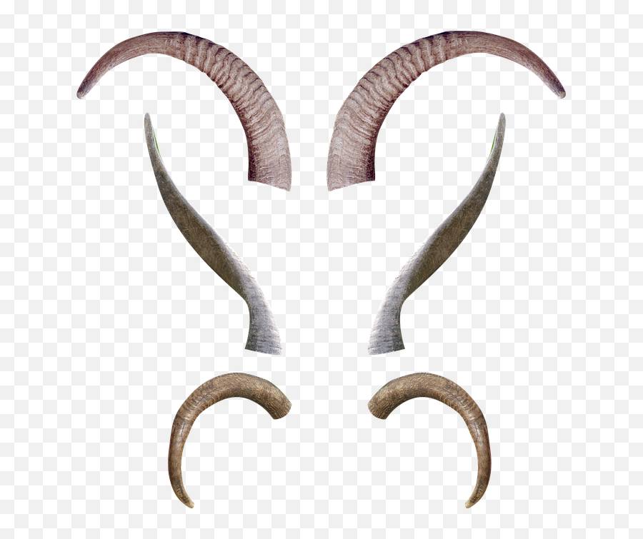 Goat Horns Png 3 Image - Goat Horn Png,Goat Horns Png