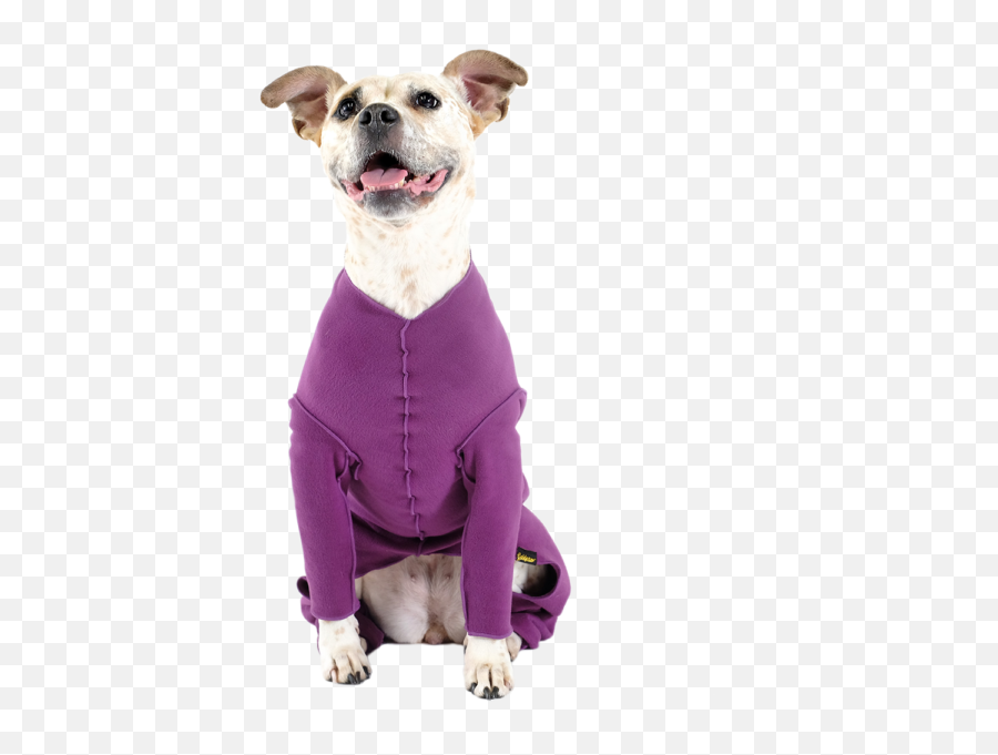Homepage Goldpaw Series - Dog Clothes Png,Pink Dog Logo
