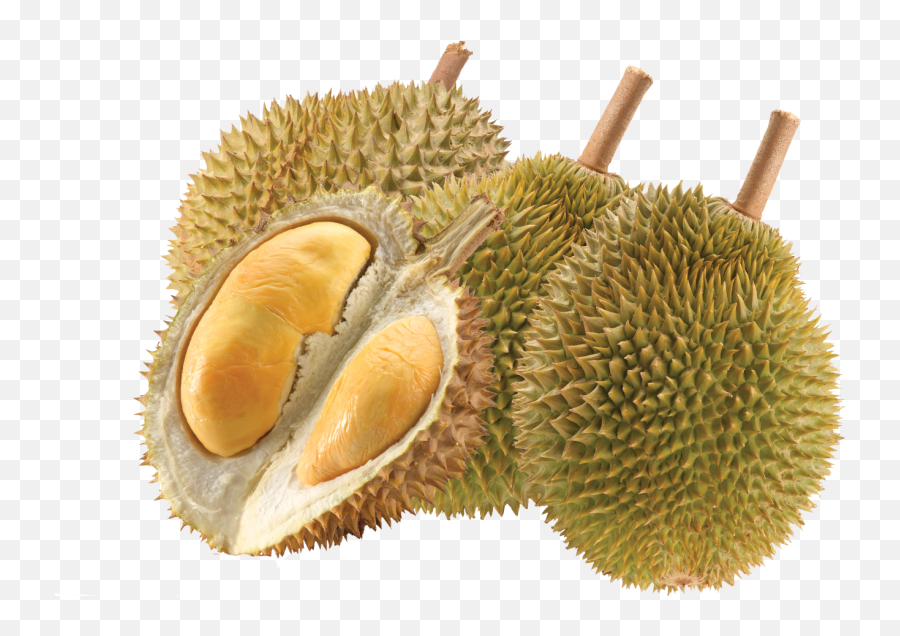 Durian Png - Durian Png,Durian Png