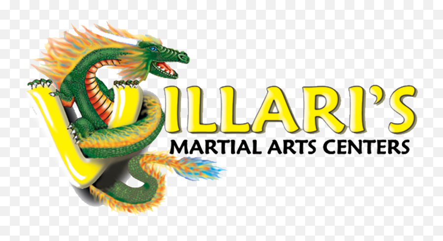 Adult Martial Arts And Self Defense - Martial Arts Centers Png,Karati Logo