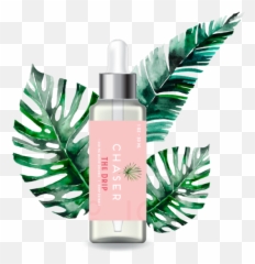 The Drip Water - Soluble CBD Tincture 250 MG Cosmetics png