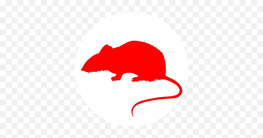 Rat U0026 Mice Control Bromley Br1 Bw Pest - Rat Png,Mouse Rodent Icon