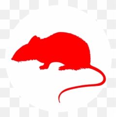 Rat U0026 Mice Control Bromley Br1 Bw Pest - png