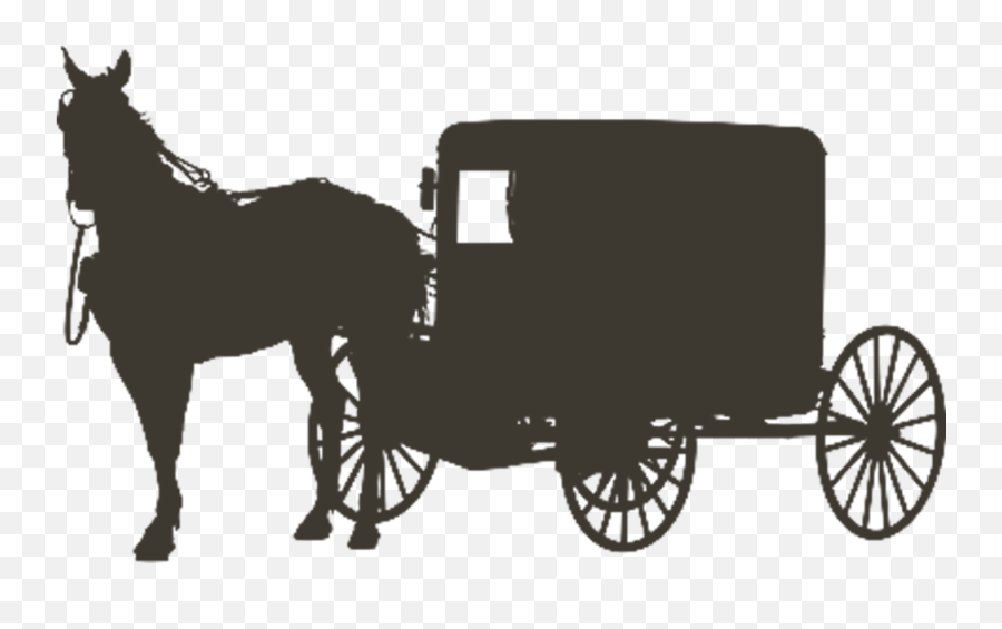 Country Icon Options Abs Products Inc - Amish Buggy Silhouette Png,Chariot Icon