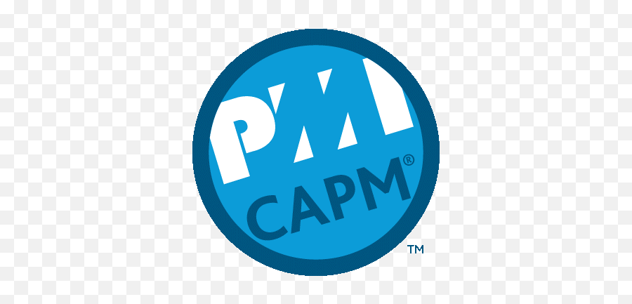 Professional Qualifications - Pmi Pmp Png,Project Team Icon