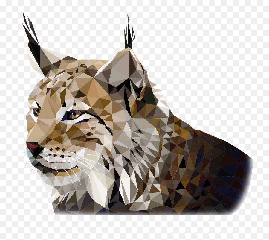 Corporate Linx Uk - Corporate Linx Transparent Linx Png,Lynx Icon