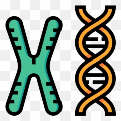 Pin - Biochemistry Clipart png