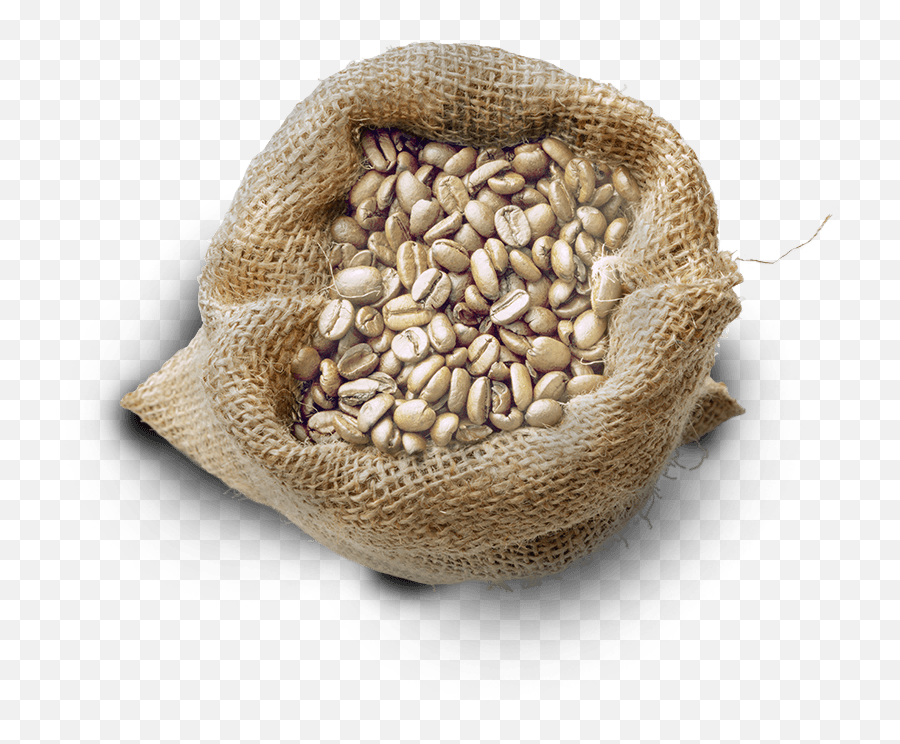 Green Beans Are Delivered - Bag Coffee Green Png,Green Beans Png