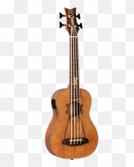 Lizard - BSGB Products Ortega Guitars png